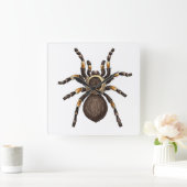 タランチュラ スクエア壁時計 (ホーム)