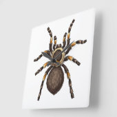 タランチュラ スクエア壁時計 (傾斜)