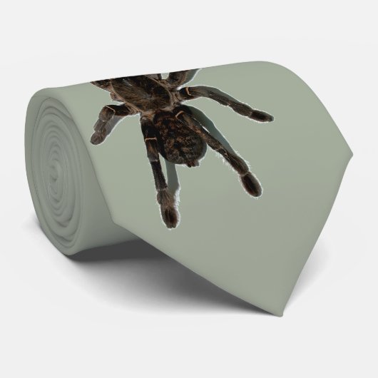 タランチュラ ネクタイ (ロール)