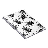 タランチュラ ノートブック (右側)