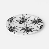 タランチュラ ペーパープレート (アングル)