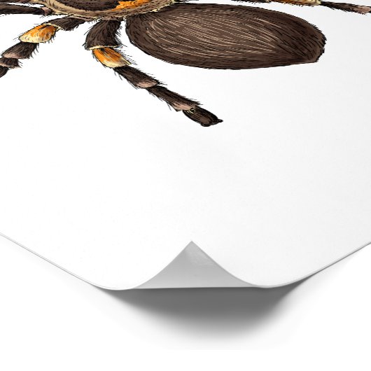 タランチュラ ポスター (角)