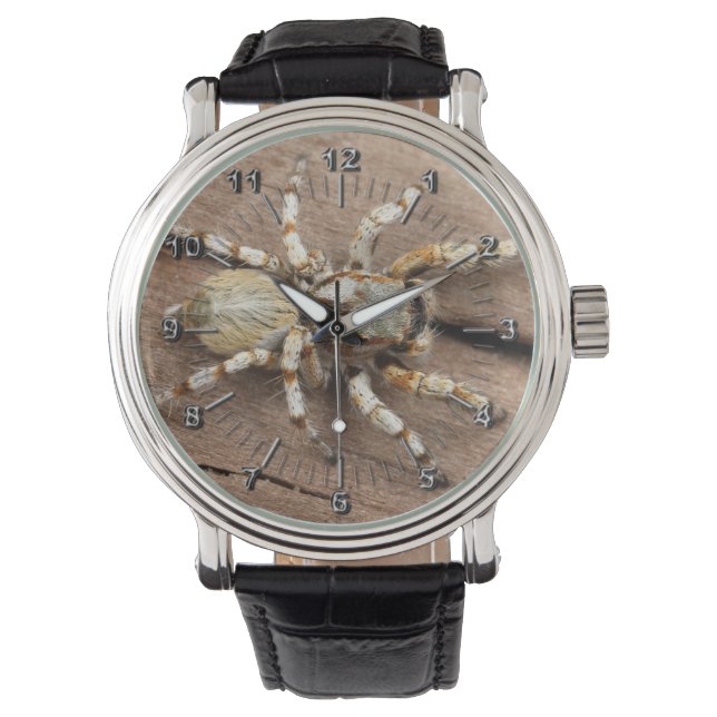 タランチュラ 腕時計 (正面)