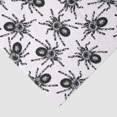 タランチュラ 薄葉紙 (詳細)