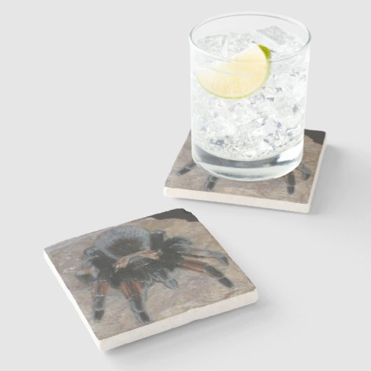 タランテュラ石コースター ストーンコースター (横)