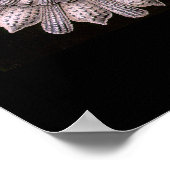 タランフォラ – プレート2 - Kunstformen der Natur ポスター (角)