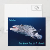 タラ穴葉書のポテトタラ ポストカード (正面/裏面)