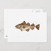 タラ1 brown286.jpg ポストカード (正面/裏面)