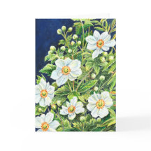 タリアのウィンドフラワー – 