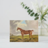 タリスマン、c.1840 ポストカード (スタンド正面)