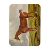 タリスマン、c.1840 マグネット (縦)