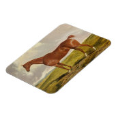 タリスマン、c.1840 マグネット (左側)