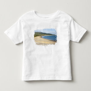 タリファの近くの海岸に沿う海岸線のビーチ トドラーTシャツ