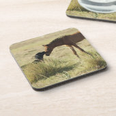 タリファ、カディス、アンダルーシア、スペイン2 コースター (左側)