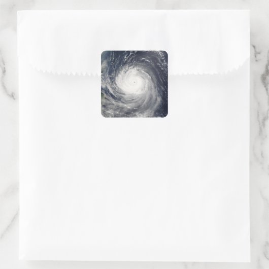 タリム台風 スクエアシール (バッグ)