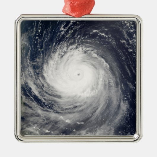 タリム台風 メタルオーナメント (正面)