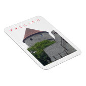 タリンキエクインデコクビュー冷蔵庫用マグネット マグネット (右側)