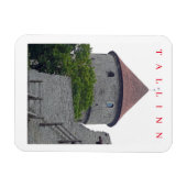 タリンキエクインデコクビュー冷蔵庫用マグネット マグネット (横)