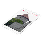 タリンキエクインデコクビュー冷蔵庫用マグネット マグネット (左側)