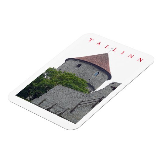 タリンキエクインデコクビュー冷蔵庫用マグネット マグネット (左側)