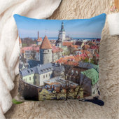 タリンダウンタウンエアビュー クッション (ブランケット)