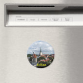 タリン磁石 マグネット (インサイチュ (食洗機))