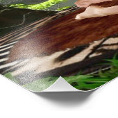 タルザナズフルネルソン フォトプリント            (角)