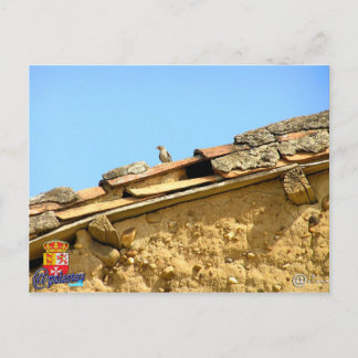 タルジェタ郵便 ポストカード