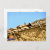 タルジェタ郵便 ポストカード (正面/裏面)