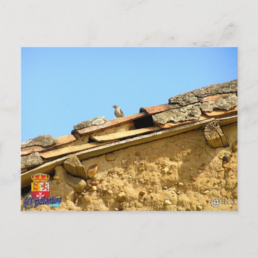 タルジェタ郵便 ポストカード (正面)