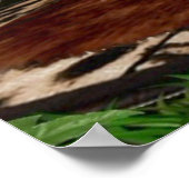 タルズナズフルネルソン ポスター (角)