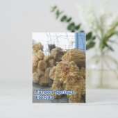 タルポン春スポンジ葉書 ポストカード (スタンド正面)