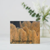 タルポン春スポンジ ポストカード (スタンド正面)