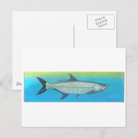 タルポン ポストカード (正面/裏面)