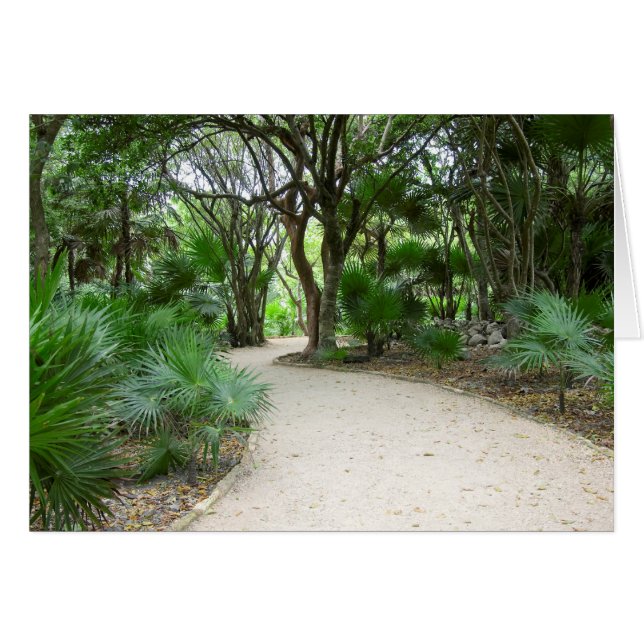 タルムトレイル (正面横)