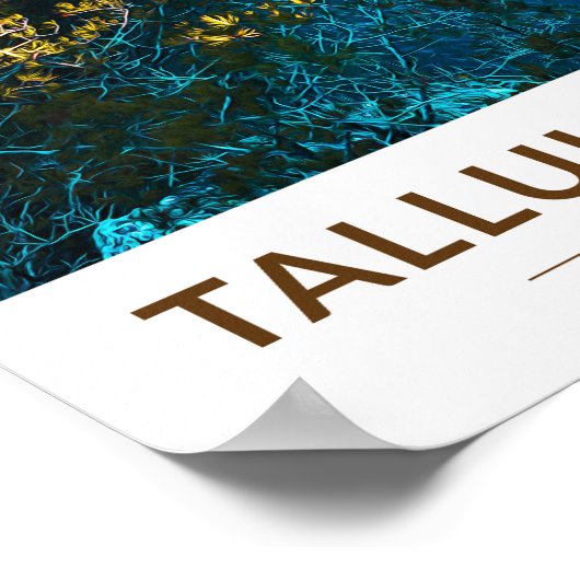 タルーラゴルジ州パークジョージア水彩画 ポスター (角)