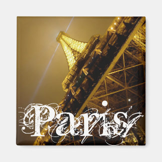 タレシック マグネット