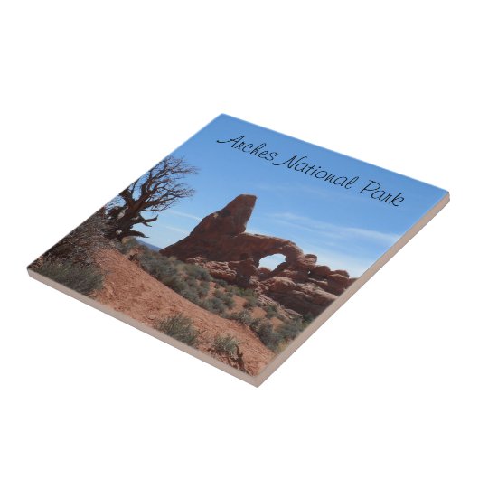 タレットのアーチは国立公園をアーチ形にします タイル (側面)