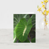 タロイモ植物のnotecard カード (黄色い花)