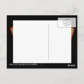 タロットカード ポストカード (裏面)