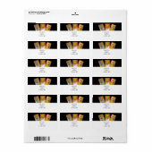 タロットカード(2) ラベル (フルシート)