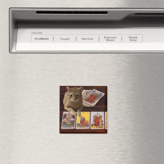 タロット猫 マグネット (インサイチュ (食洗機))