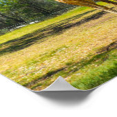 タロンガウエスタンプレーンズ動物園のドボ – Giraffes ポスター (角)