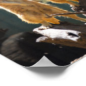 タロンガウエスタンプレーンズ動物園のドボ – Meerkat ポスター (角)