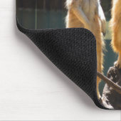 タロンガウエスタンプレーンズ動物園のドボ – Meerkat マウスパッド (コーナー)