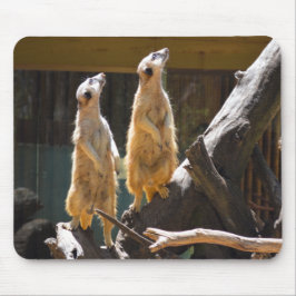 タロンガウエスタンプレーンズ動物園のドボ – Meerkat マウスパッド