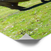 タロンガ ウェスタンプレインズ動物園 ダブボ - サイ ポスター (角)