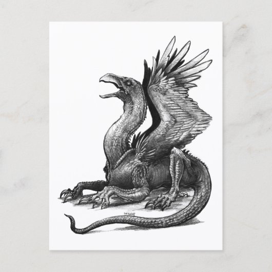 タロン – はがき (正面)