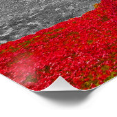 タワーオブロンドンレッドポピーズポピー ポスター (コーナー)