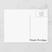 タワーブリッジロンドン ポストカード (裏面)